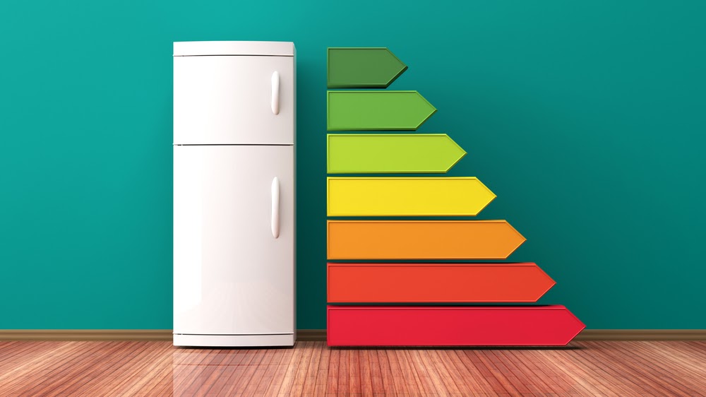 What to Consider When Shopping For An Energy Efficient Fridge