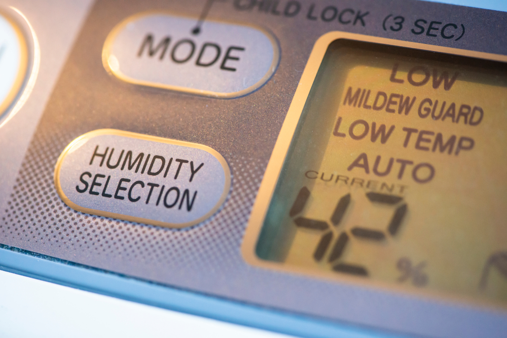 Best Energy-Efficient Dehumidifiers